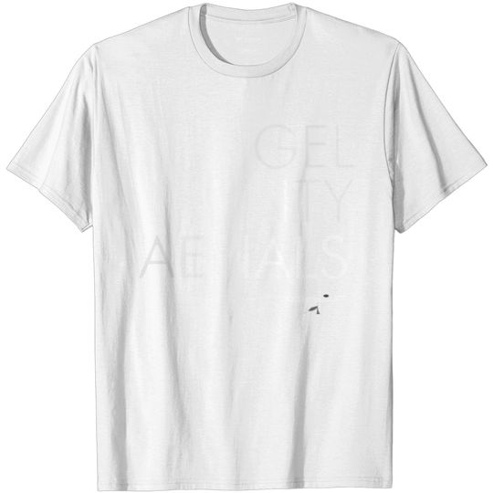 Discover Angel City Aerials Small Front Logo W Large Back L T Shirt