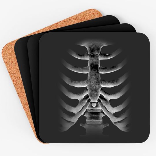 Discover Skeleton Chest Rib-cage Bones Halloween Coaster