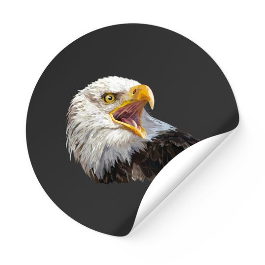 Discover Eagle Sticker