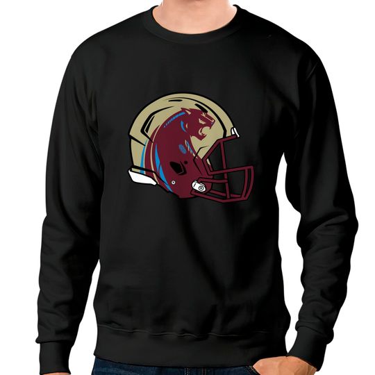 Discover Michigan Panthers - Michigan Panthers - Sweatshirts