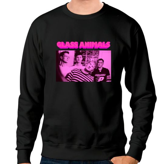 Discover Glass Animals Sweatshirts