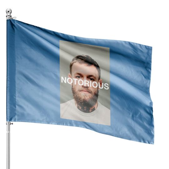 Discover Connor McGregor Mugshot Notorious - Connor Mcgregor Mugshot - House Flags