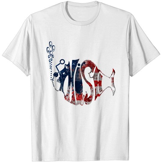 Discover Phish Logo -- T-Shirt