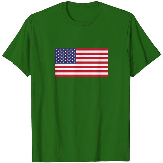 Discover American Flag - American Flag - T-Shirt