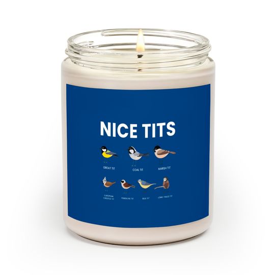 Discover Nice Tits Bird Birds Watching Tit Nature Scented Candles