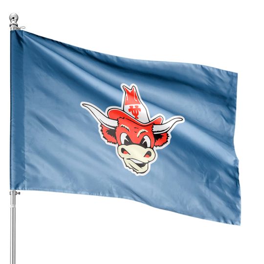Discover Restored Bevo Longhorn Mascot - Longhorns - House Flags
