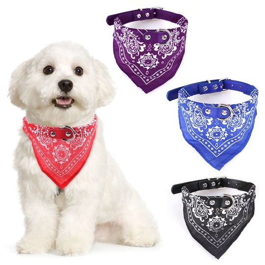 Explore Pet Bandana Collars Ideas