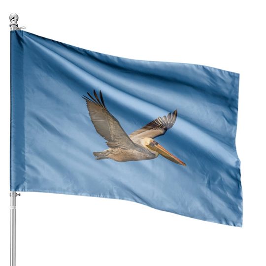 Discover Brown Pelican In Flight House Flags