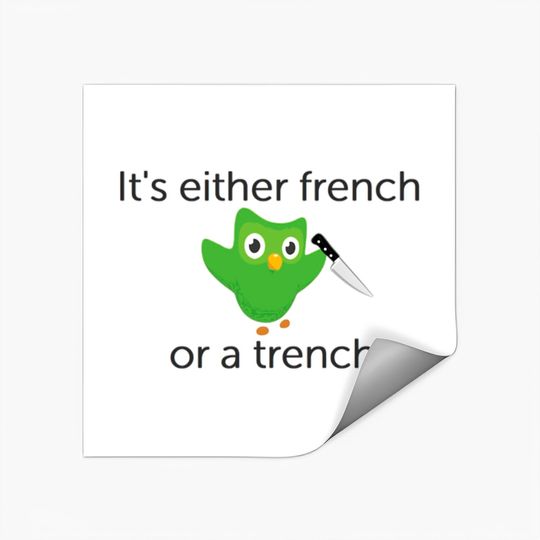 Discover Duolingo Motivation - French Stickers