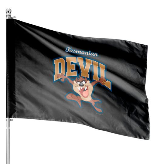 Discover TAZ™ Tasmanian Devil Patch House Flags