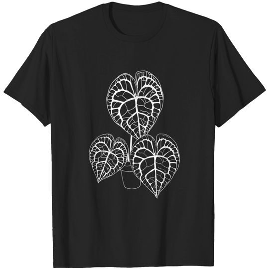Discover Anthurium clarinervium (white) - Plants - T-Shirt