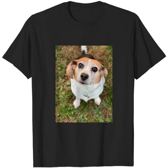 Discover The Curious Beagle - Beagle - T-Shirt