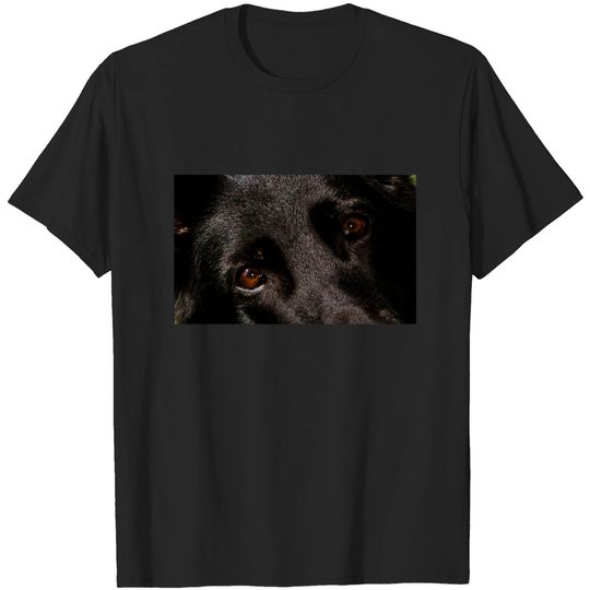 Discover Black german shepherd eyes - Black German Shepherd - T-Shirt