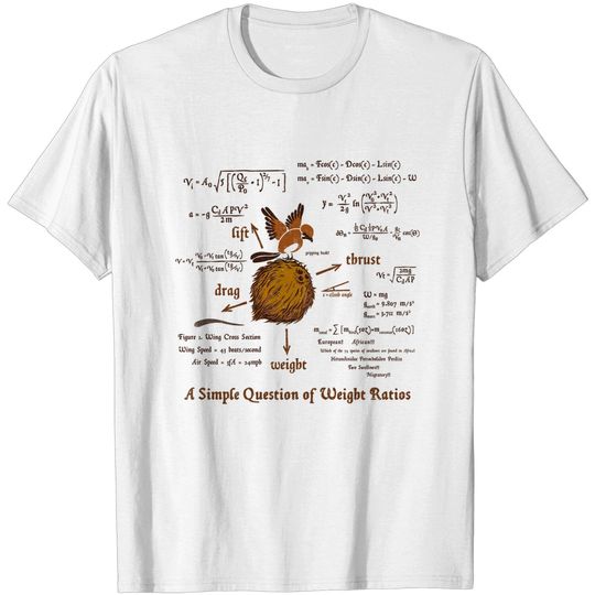 Discover A Simple Answer - Monty Python And The Holy Grail - T-Shirt