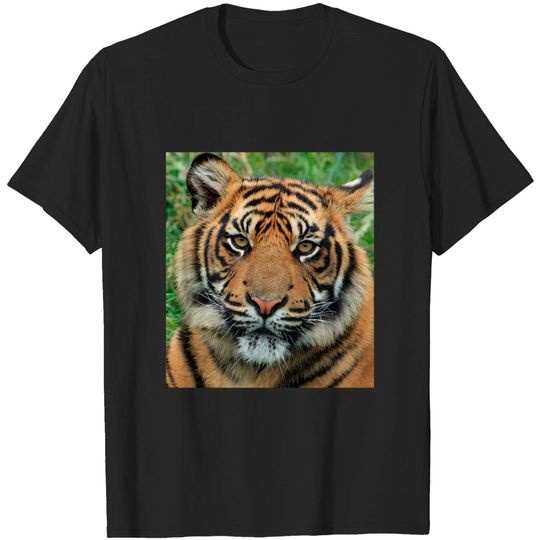 Discover Tiger Face Mask - Tiger Face Mask - T-Shirt