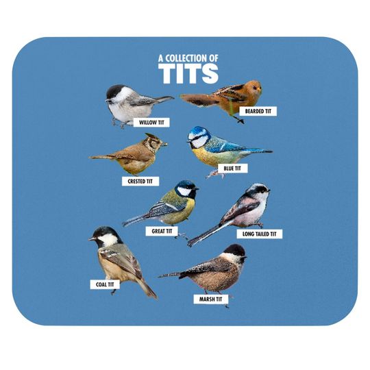 Discover Nerd Funny Tit Birds Birdwatcher Gift Idea Mouse Pads