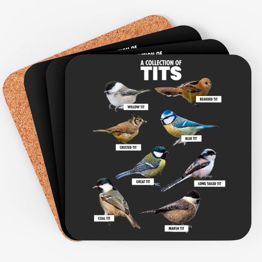 Discover Nerd Funny Tit Birds Birdwatcher Gift Idea Coasters