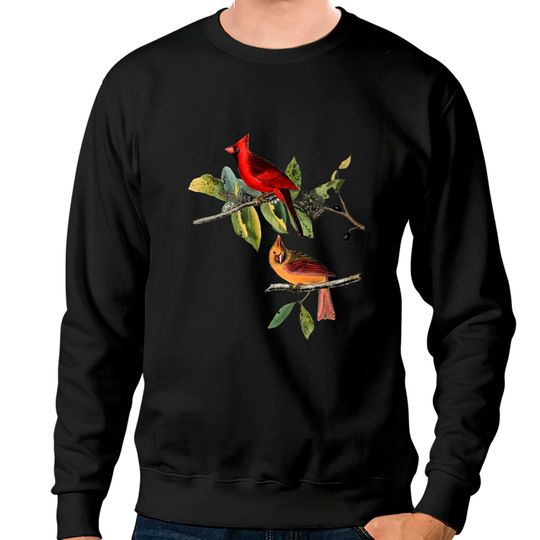 Discover Red Cardinal Bird Male Female Gift for cardinal bird lovers Sweatshirt