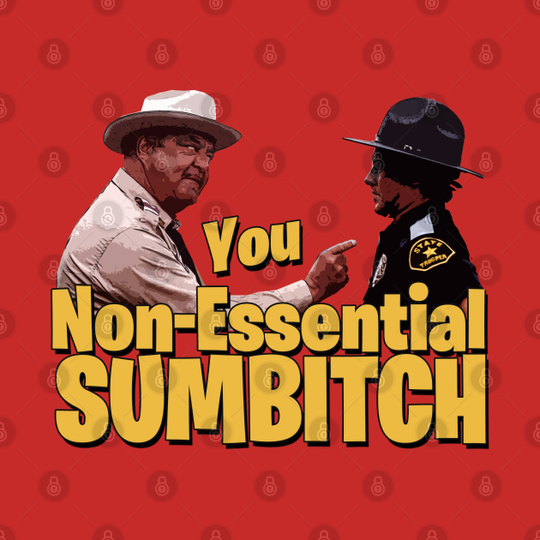 Discover You Non-Essential Sumbitch! - Smokey And The Bandit - T-Shirt