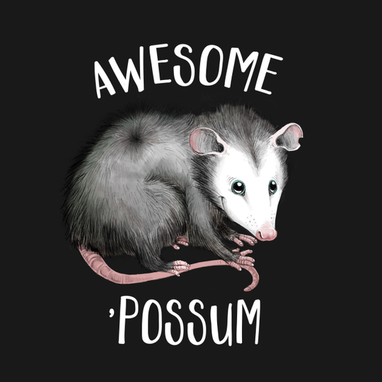 Discover Awesome Possum - Opossum - T-Shirt