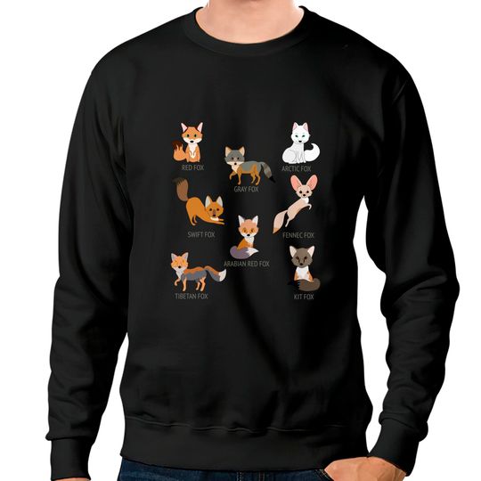 Discover Gray and Arctic Fox Sweatshirt Collection