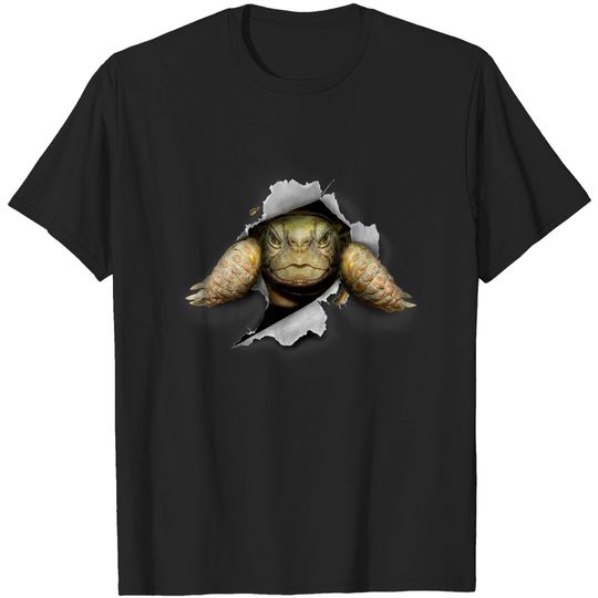 Discover Turtle T-Shirt Tortoise Turtle