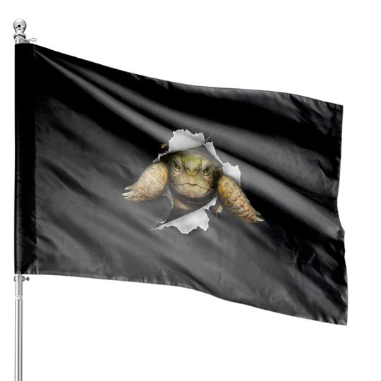 Discover Turtle House Flags Tortoise Turtle