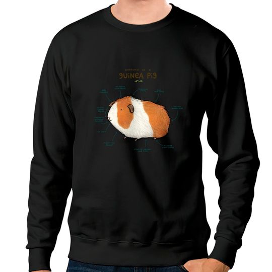 Discover Anatomy of a Guinea Pig - Guinea Pig - Sweatshirts
