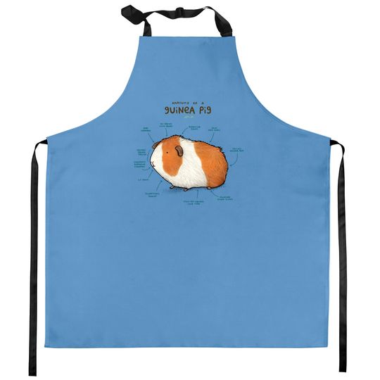 Discover Anatomy of a Guinea Pig - Guinea Pig - Kitchen Aprons