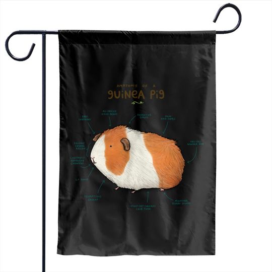 Discover Anatomy of a Guinea Pig - Guinea Pig - Garden Flags