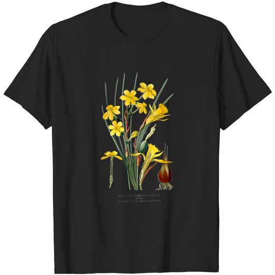 Discover Daffodil Flower botanical Narcissus Pseudonarcissus T-Shirt