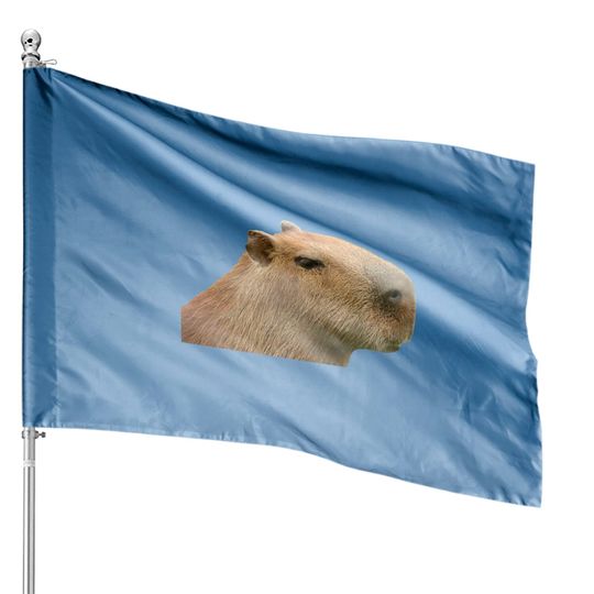Discover Capybara Profile - Capybara - House Flags