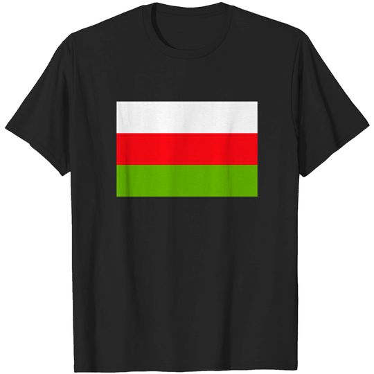 Discover Flag of Sincelejo (Colombia) - Flag - T-Shirt