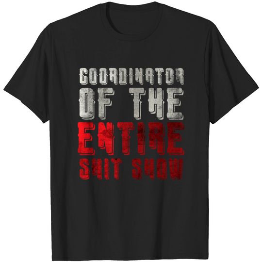 Discover Chaos Coordinator T-Shirt