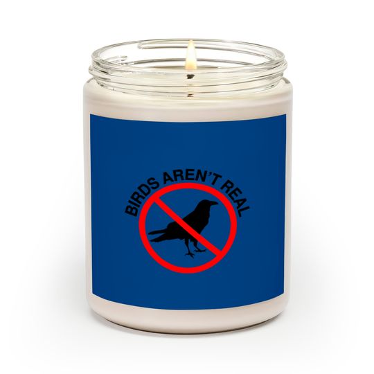 Discover Birds Aren't Real Prohibited Sign Scented Candles
