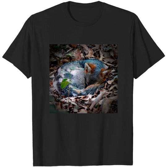 Discover Sleeping fox - Sleeping Fox - T-Shirt