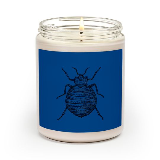 Discover Bed bug Scented Candles