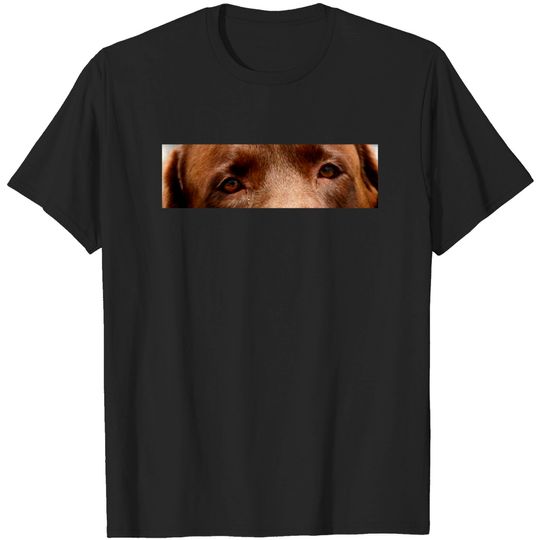 Discover chocolate lab eyes - Chocolate Lab - T-Shirt