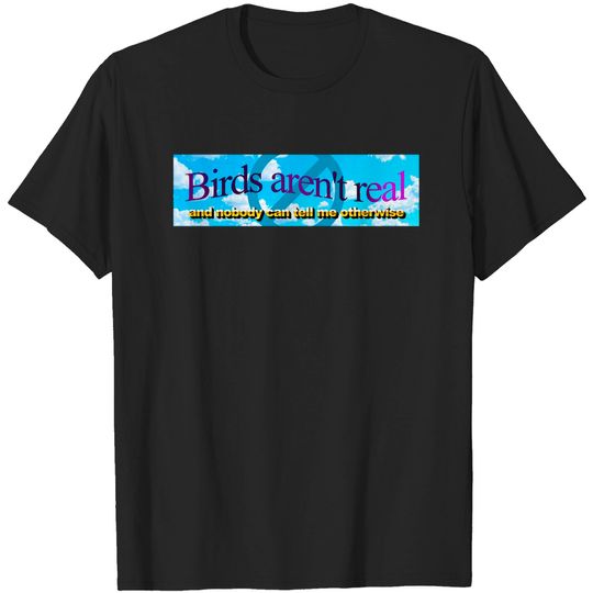 Discover Birds aren't real (And nobody can convince me otherwise) - Meme Sticker - T-Shirt
