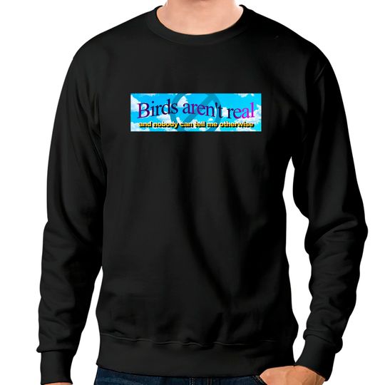 Discover Birds aren't real (And nobody can convince me otherwise) - Meme Sticker - Sweatshirts