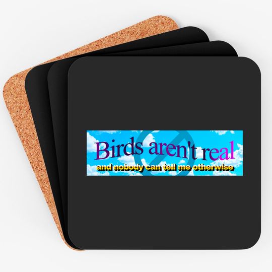 Discover Birds aren't real (And nobody can convince me otherwise) - Meme Sticker - Coasters