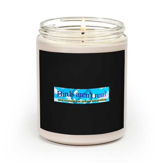 Discover Birds aren't real (And nobody can convince me otherwise) - Meme Sticker - Scented Candles