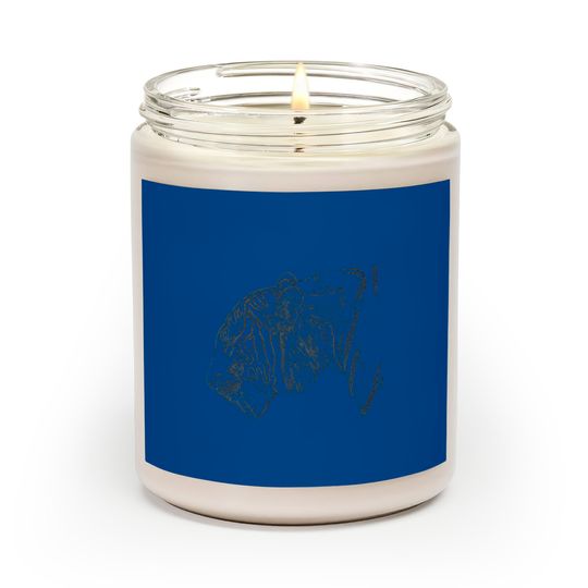 Discover tiger, colored tiger Scented Candles - Tiger - Scented Candles
