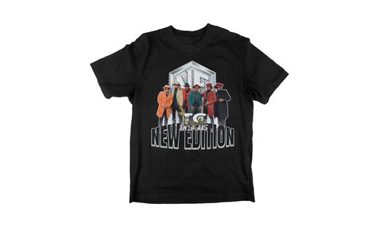 Discover New Edition T-shirt, New Edition Legacy Tour Shirt