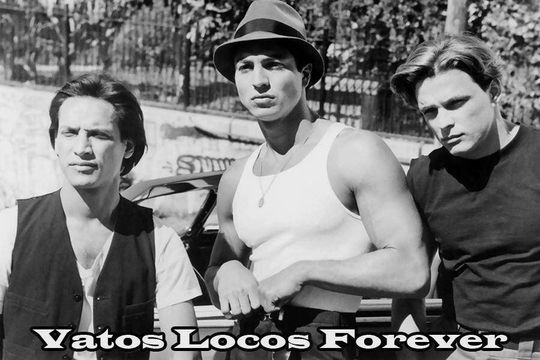 Discover Blood In Blood Out Movie Sheet Poster