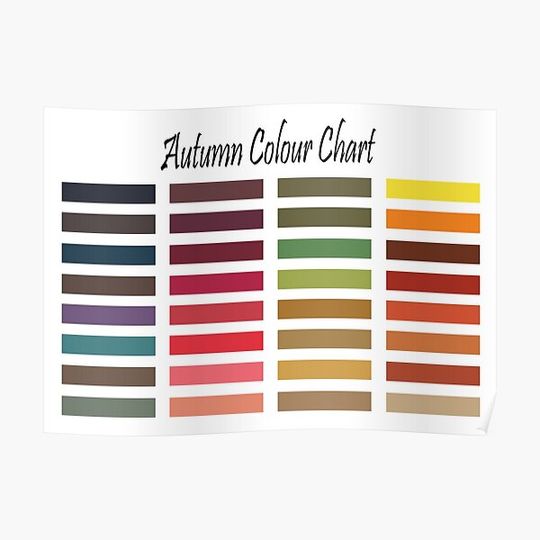Discover Autumn Color Swatch (Color Me Beautiful) - Color Palette Seasonal Premium Matte Vertical Poster