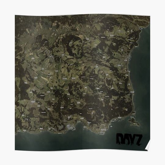Discover Day Z Map Premium Matte Vertical Poster
