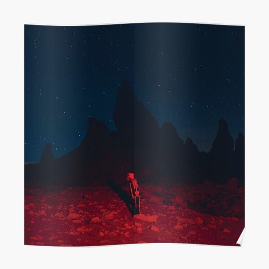 Discover phoebe bridgers punisher album cover Premium Matte Vertical Poster