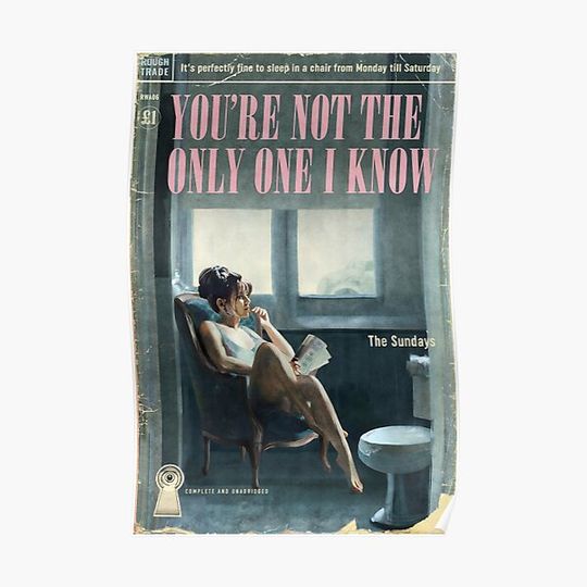 Discover You're Not The Only One I Know - The Sundays Premium Matte Vertical Poster