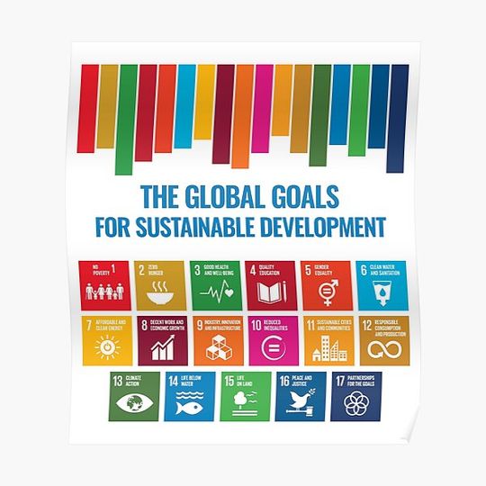 Discover The Global Goals for Sustainable Development - UN Sustainable Development Goals SDGs 2030 Premium Matte Vertical Poster